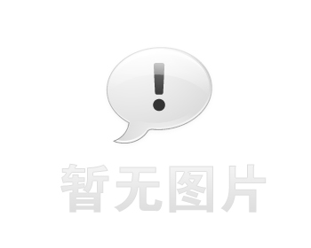 滨江白蚁防治本地推荐】专业团队为您解决白蚁隐患，守护家园安全